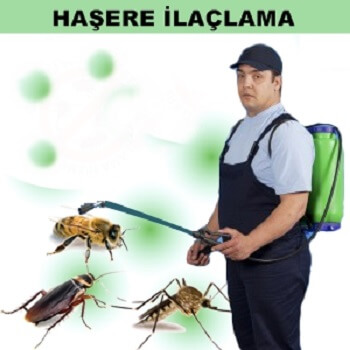 Çilimli Böcek İlaçlama